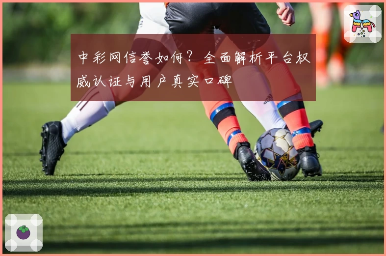 中彩网信誉如何？全面解析平台权威认证与用户真实口碑