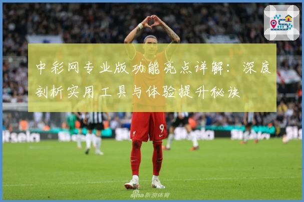 中彩网专业版功能亮点详解：深度剖析实用工具与体验提升秘诀