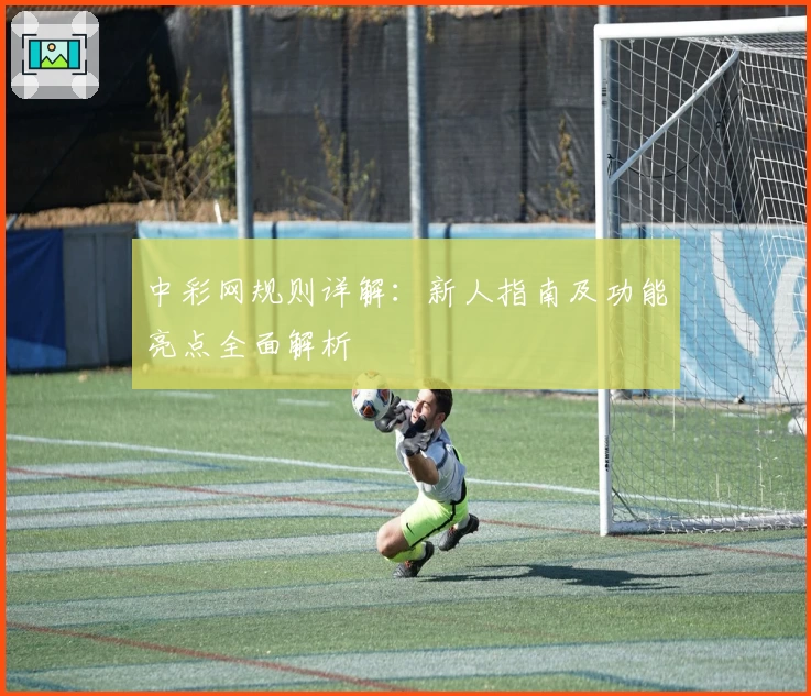 中彩网规则详解：新人指南及功能亮点全面解析
