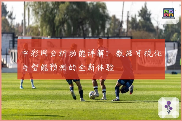 中彩网分析功能详解：数据可视化与智能预测的全新体验